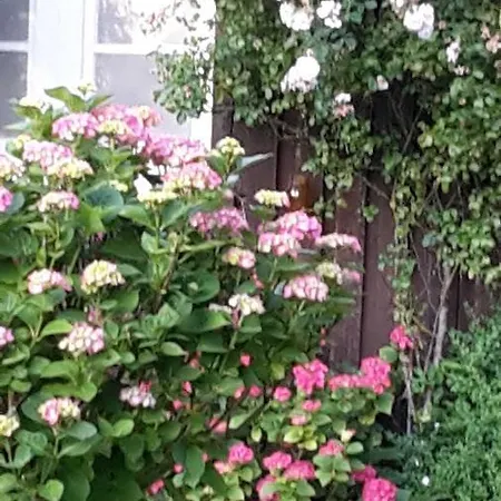 Lejlighed Schoene Im Alten In Stoltebüll