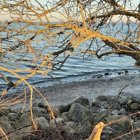 Schoene Im Alten In