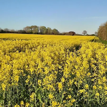 Schoene Im Alten In Lejlighed *
