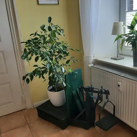 Apartment Schoene Im Alten In Stoltebull