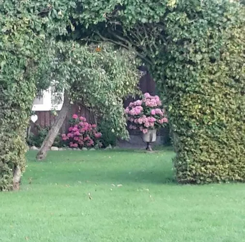 Schoene Im Alten In *