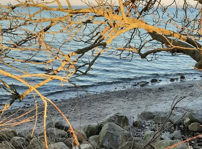 Schoene Im Alten In