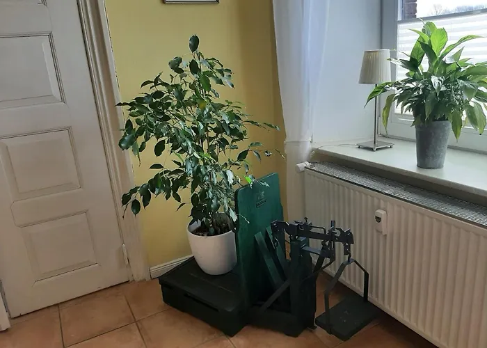 Apartman Schoene Im Alten In Stoltebüll